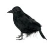 Schwarzer Rabe 15 Cm -Halloween Dekorations Geschäft schwarzer rabe mit echten federn als halloween dekoration 22389