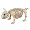 Ferkel Skelett 2 Ferkel Skelett -Halloween Dekorations Geschäft schweinchen skelett ferkel skelett piggy skeleton 39344 01