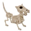Hunde Skelett Mit Knochen 27cm -Halloween Dekorations Geschäft skelett hund mit knochen hunde skelett mit knochen skeleton dog with bone 52641 01