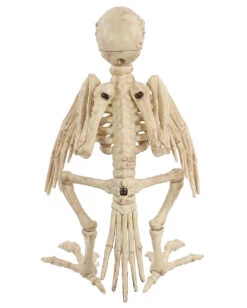 Papagei Skelett 19cm -Halloween Dekorations Geschäft skelett papagei skeleton parrot halloween dekoration 52638 04
