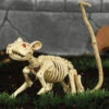 Ratten Skelett 20cm -Halloween Dekorations Geschäft skelett ratte 20cm ungeziefer dekoration knochengerippe halloween deko skeleton rat 35974