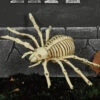 Spinnen Skelett 24cm 1 Spinnen Skelett 24cm -Halloween Dekorations Geschäft skelett spinne 24cm ungeziefer dekoration knochengerippe halloween deko skeleton spider 35975