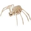 Tarantel Skelettfigur Spinne 20x35cm 1 Tarantel Skelettfigur Spinne 20x35cm -Halloween Dekorations Geschäft skelett tarantel spinne 100cm skeleton tarantula spider skelettfigur tier halloween 53356