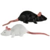 Gummi Ratte 11cm - Schwarz / Weiß -Halloween Dekorations Geschäft stretch ratten 11cm schwarz weiss gummiratten halloweendeko gummimaus fuer halloween 29818 neu