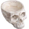 Totenschädel Schale 28cm -Halloween Dekorations Geschäft totenkopf schale totenschaedel schale skull planter totenkopf dekoration 51403 01