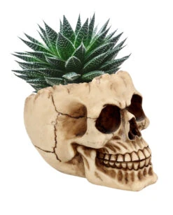 Realistische Totenschädel Schale Mit Offener Schädeldecke -Halloween Dekorations Geschäft totenschaedel schale mit offener schaedeldecke realistic skull mug morbide gothic deko halloween deko totenschaedel 39289 2