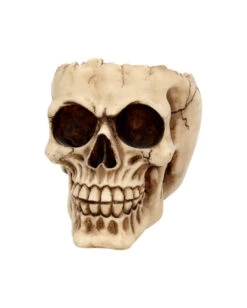 Realistische Totenschädel Schale Mit Offener Schädeldecke -Halloween Dekorations Geschäft totenschaedel schale mit offener schaedeldecke realistic skull mug morbide gothic deko halloween deko totenschaedel 39289 3