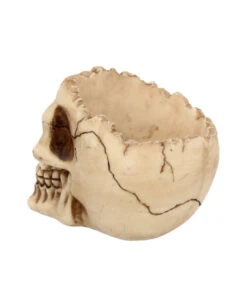 Realistische Totenschädel Schale Mit Offener Schädeldecke -Halloween Dekorations Geschäft totenschaedel schale mit offener schaedeldecke realistic skull mug morbide gothic deko halloween deko totenschaedel 39289 5