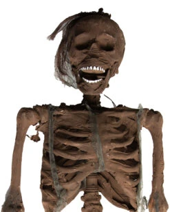 Verweste Torso Hänge Dekoration -Halloween Dekorations Geschäft verwestes skelett haengetorso halloween deko skelett 37813