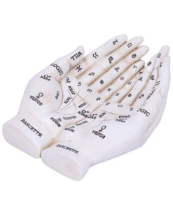 Weiße Chiromantie-Hände Teelichthalter -Halloween Dekorations Geschäft weisse handlese haende kerzenhalter weisse chiromantie haende teelichthalter 51058 05