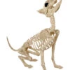 Werwolf Skelett 70cm 2 Werwolf Skelett 70cm -Halloween Dekorations Geschäft werwolf skelett werwolf skeleton halloween skelett halloween deko 52649 01