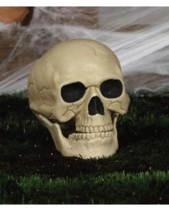 Wetterfester Totenschädel Mit Beweglichem Kiefer 20cm -Halloween Dekorations Geschäft wetterfester totenkopf mit beweglichem kiefer weatherproof skull with moveable jaw halloween totenschaedel 53405 04